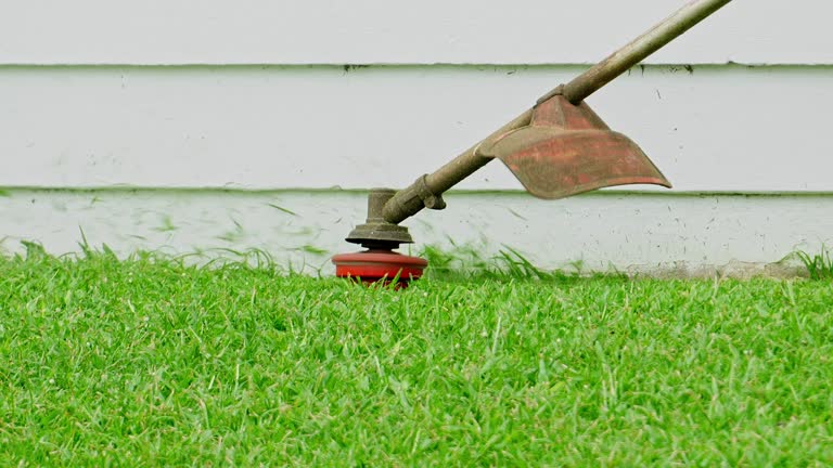 Best Hedge Trimming  in Glen Burnie, MD